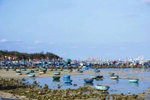 Những khung cảnh ngoạn mục dọc đường ven biển Phan Rang - Cam Ranh