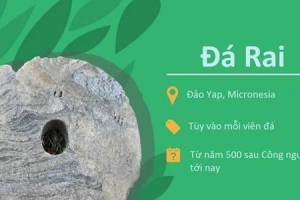 Những loại tiền kỳ lạ nhất thế giới