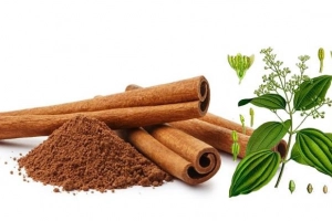 Những lợi ích từ quế đối với sức khỏe