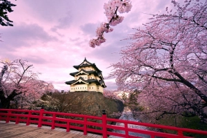 Những lý do bạn phải tới Osaka một lần trong đời