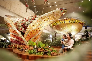 Những lý do khiến Changi là sân bay tốt nhất thế giới