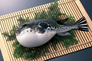 Những món đặc sản có thể gây chết người