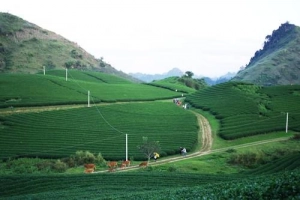 Những trải nghiệm ít ai biết khi du lịch Mộc Châu