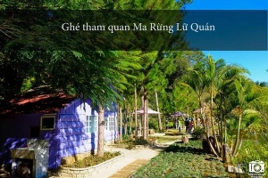 Những trải nghiệm không thể bỏ qua dịp 30/4 tại Đà Lạt