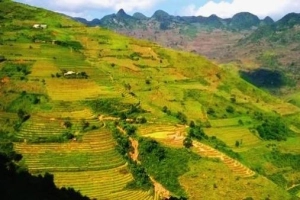 Những trải nghiệm thú vị tại cao nguyên đá Hà Giang