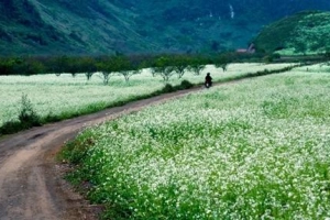 Những vật dụng bạn trẻ muốn sở hữu khi du lịch hè