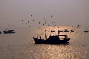 Nơi cuối sông Hồng