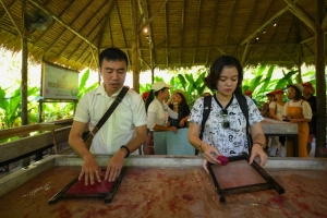 Nơi du khách tự tay làm giấy từ phân voi ở Thái Lan
