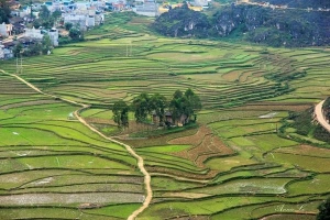 Nơi ngắm cảnh lý tưởng nhất cao nguyên đá Đồng Văn