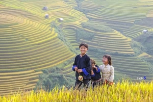 Nụ cười trẻ em Mù Cang Chải mùa lúa chín
