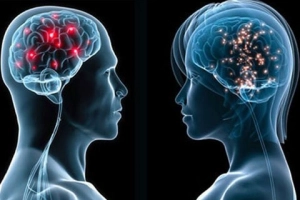 Phát triển trí não có sự khác biệt giữa bé trai và bé gái?