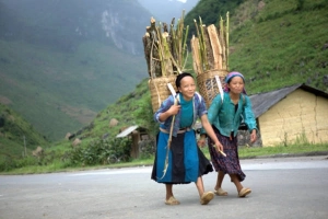 Phố Cáo trong tôi&#8230;