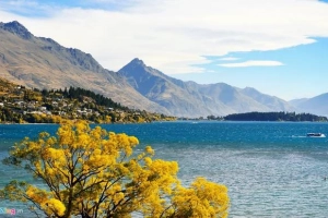 Phong cảnh tuyệt đẹp ở Auckland, Queenstown