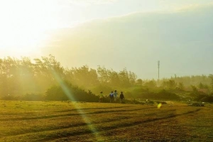 Phú Yên đẹp hơn sau &#8216;Tôi thấy hoa vàng trên cỏ xanh&#8217;
