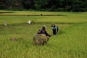 Pù Luông - du lịch giá rẻ, nhiều thử thách