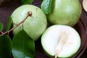 Quả vú sữa bao nhiêu calo?
