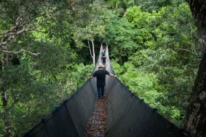Quyến rũ Amazon, từ Peru đến Ecuador
