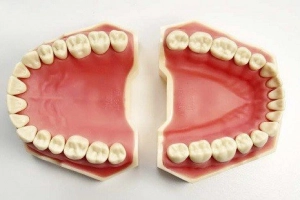 Răng của bạn từ sơ sinh đến trưởng thành