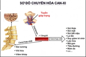 Rối loạn chuyển hóa canxi – phospho ở người bị bệnh thận mạn tính