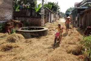 Rơm vàng trải khắp Đường Lâm