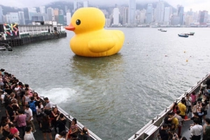 Rubber Duck - Chú vịt vàng khổng lồ đến Việt Nam