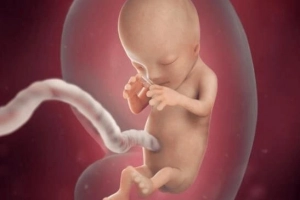 Sa dây rốn: Biến chứng nguy hiểm với thai nhi