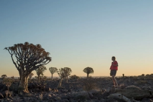 Sắc màu hoang dã Namibia