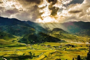 Sắc thu chảy vàng ruộng bậc thang Mù Cang Chải
