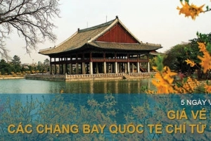 Săn vé bay quốc tế chỉ từ 19 USD cùng Vietnam Airlines