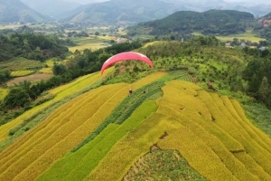 Sắp diễn ra lễ hội dù lượn mùa vàng Bình Liêu