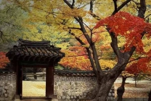 Seoul ngày không vội vã