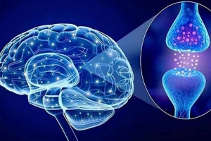 Serotonin và giấc ngủ