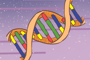 Short Tandem Repeats và các ứng dụng