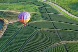 Singha Park - công viên nông trại cực thú vị ở Thái Lan