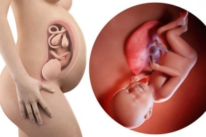 Sinh con ở tuần 38 có sao không?