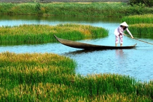 Sông nước Cà Mau - nơi tuyến đầu của Tổ quốc