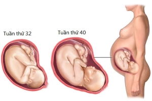 Sự phát triển của thai nhi 3 tháng cuối thai kì