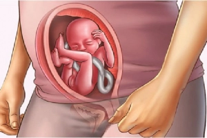 Sự phát triển của thai nhi tuần 16