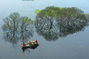Sững sờ hồ Lá Luộc mùa này như tranh thủy mặc