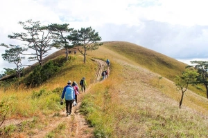 Tà Năng Phan Dũng - cung trekking đẹp nhất Việt Nam