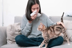 Tại sao thú cưng khiến bạn hắt hơi?