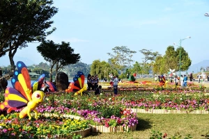Tất tần tật những điều cần biết về Festival Hoa Đà Lạt 2015