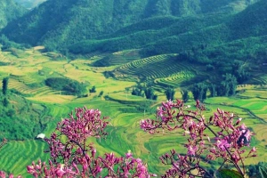 Tết này thăm 7 thung lũng đẹp như tranh ở Việt Nam