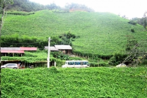 Thăm San Sả Hồ - &#8220;lãnh địa&#8221; của su su