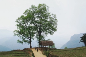 Tháng 3, mình giữ lại một mùa xuân