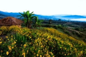 Thị trấn Pai điểm đến &#8216;ai cũng yêu&#8217; của du lịch Thái Lan