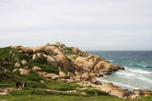 Thư giãn ở Cù Lao Câu xanh thắm