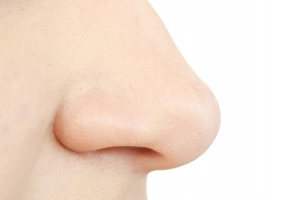 Tìm hiểu về cấu trúc xương sụn của mũi