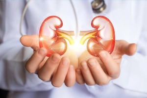 Tìm hiểu về dị dạng động mạch thận