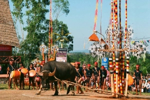 Tìm hiểu về lễ hội đâm trâu Tây Nguyên